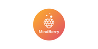 MindBerry 1